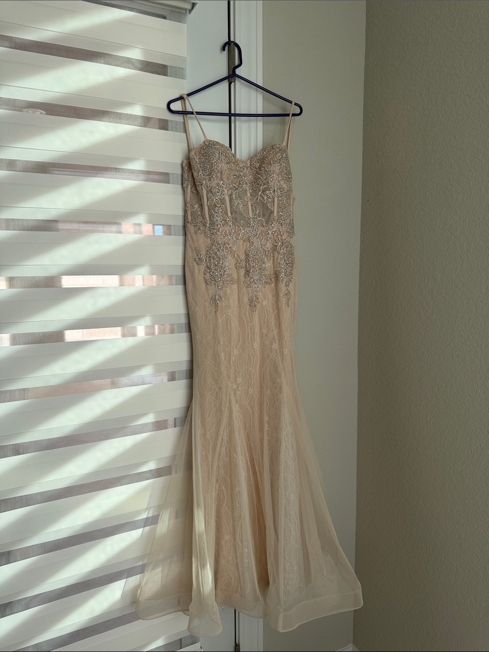 Xscape Blush Lace Mesh Slip Dress Maxi Gown